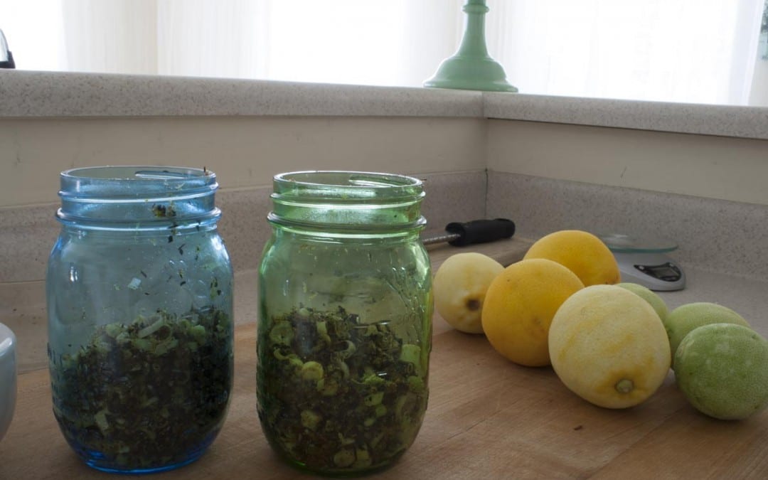 Homemade Tonic Water Recipe