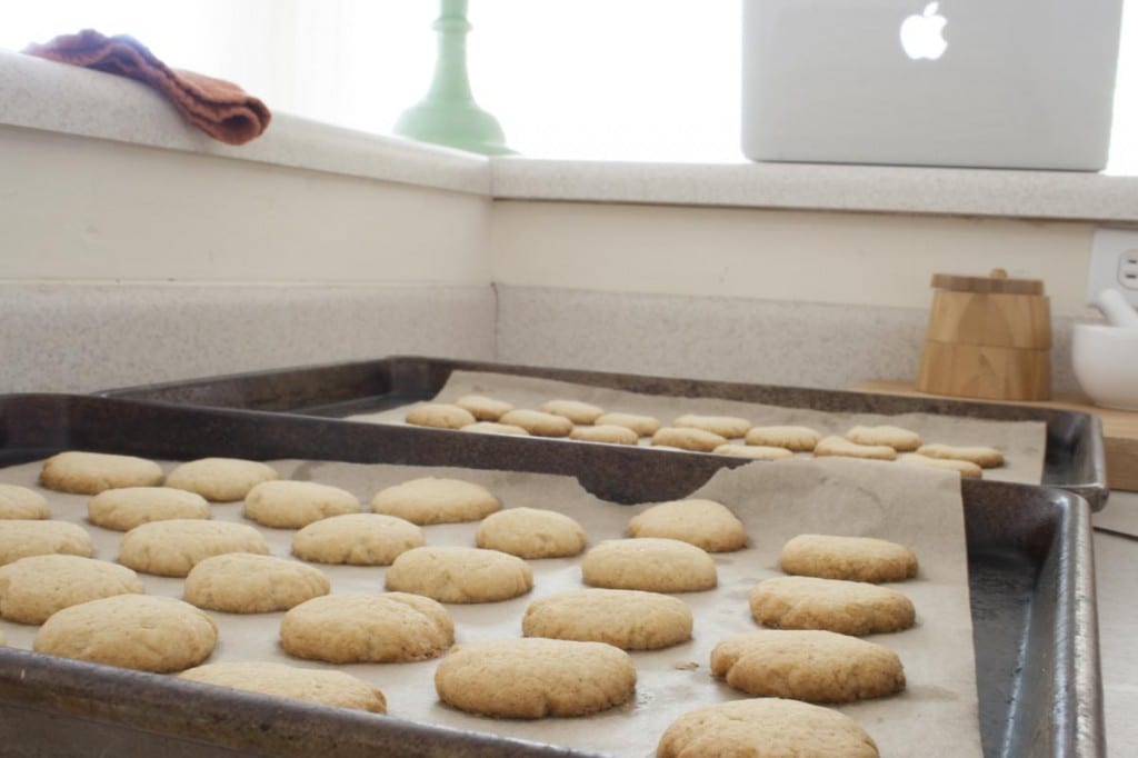 Vanilla Wafers Cooling on Counter